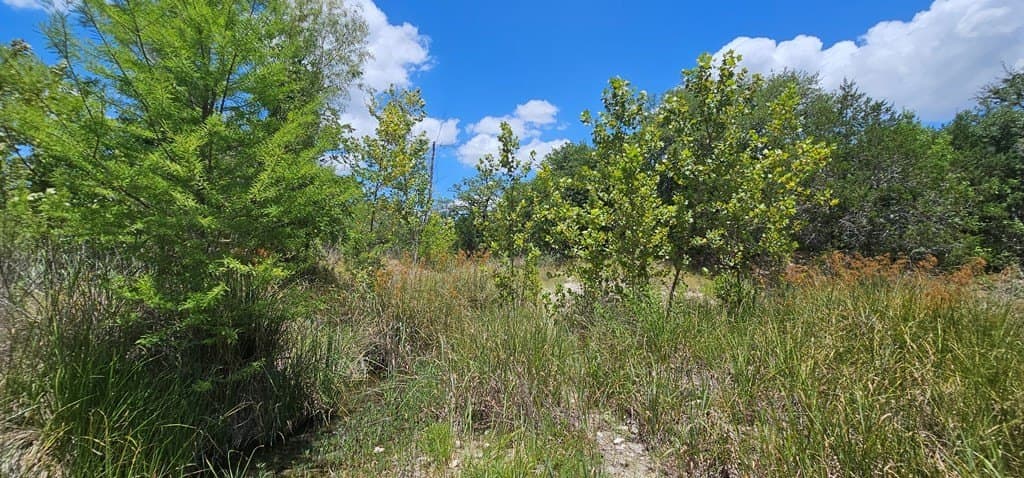 3.9 acres in Kerr County - photo 21