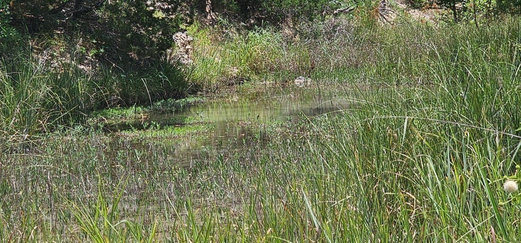 3.9 acres in Kerr County gallery image 3