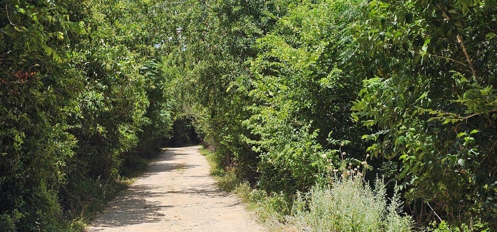 3.9 acres in Kerr County - photo 26