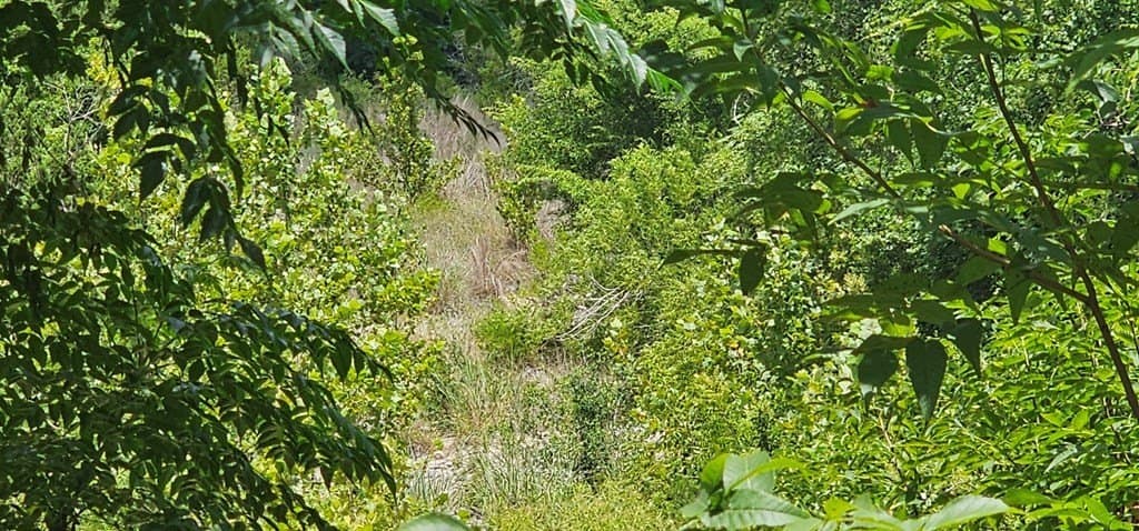 3.9 acres in Kerr County - photo 7
