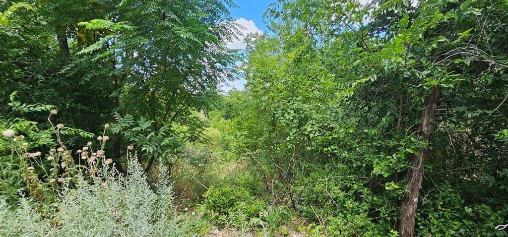 3.9 acres in Kerr County - photo 6