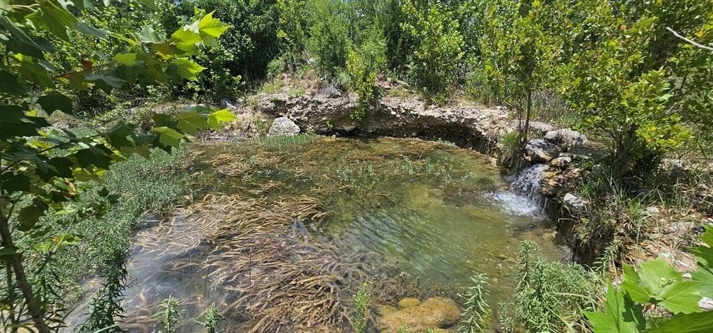 3.9 acres in Kerr County