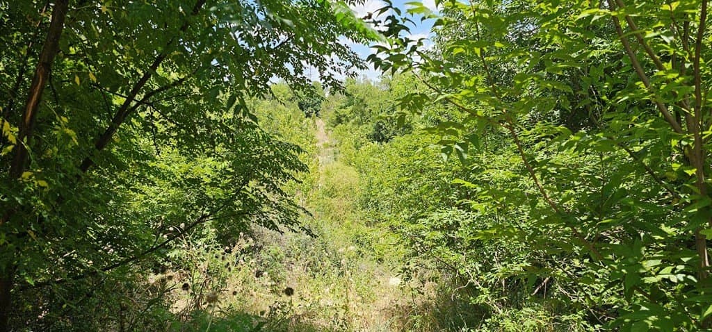 3.9 acres in Kerr County - photo 27