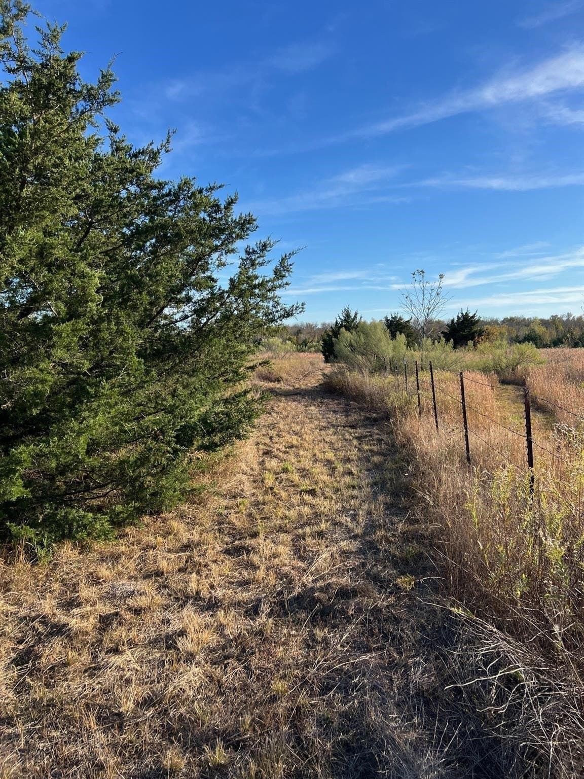 9.44 acres in Delta County - photo 10