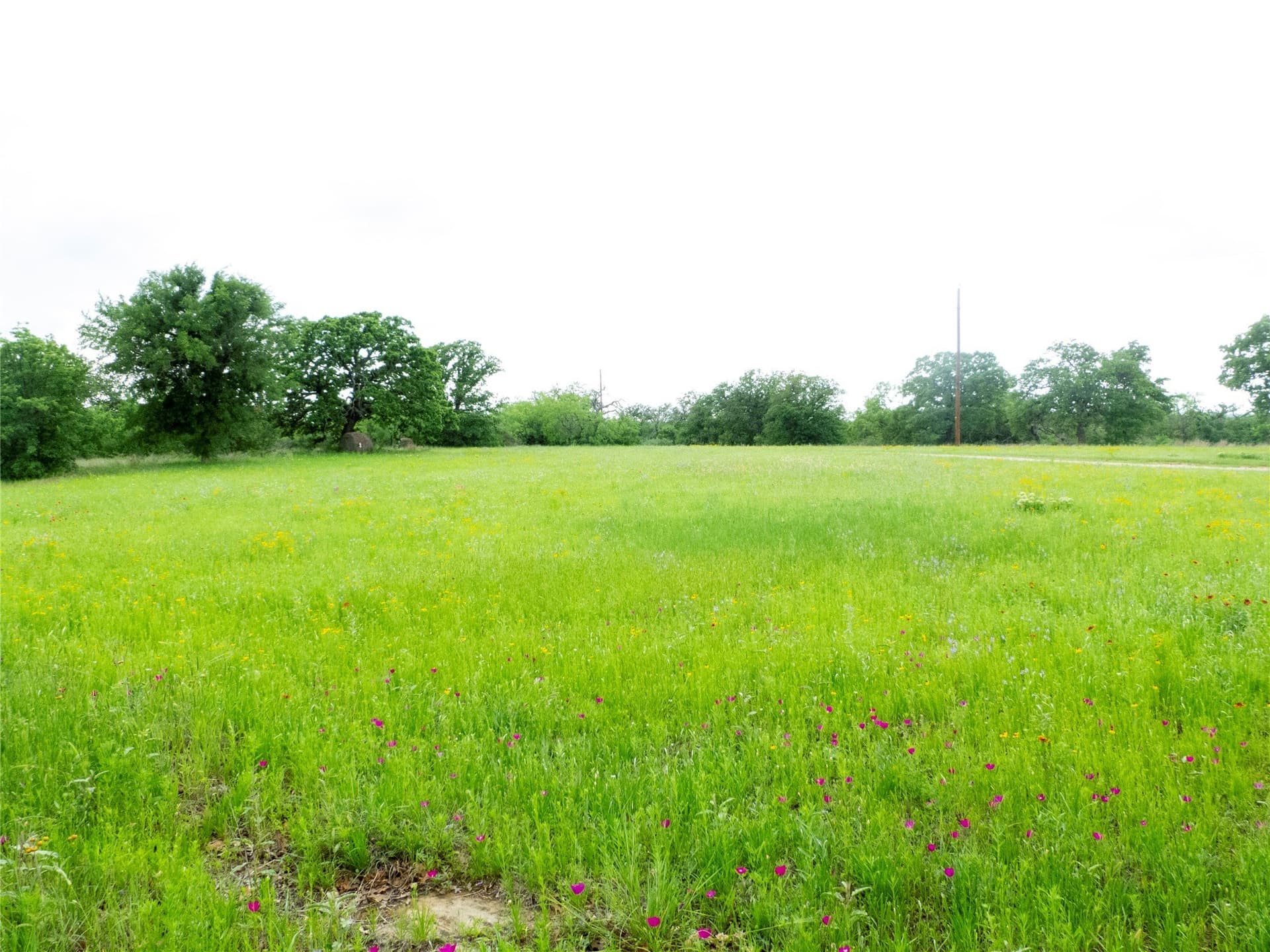 41.67 acres in Brown County - photo 21
