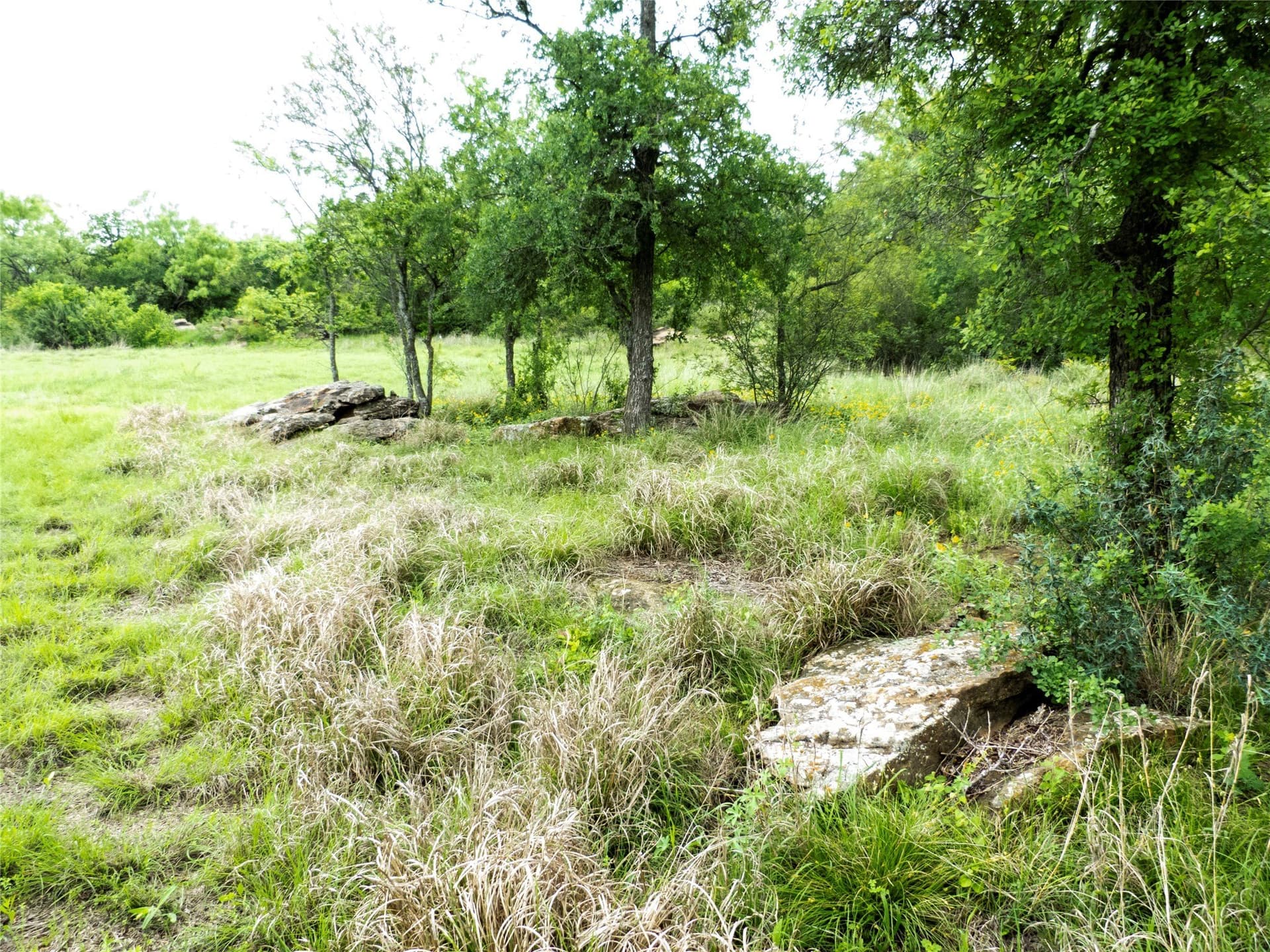 41.67 acres in Brown County - photo 10