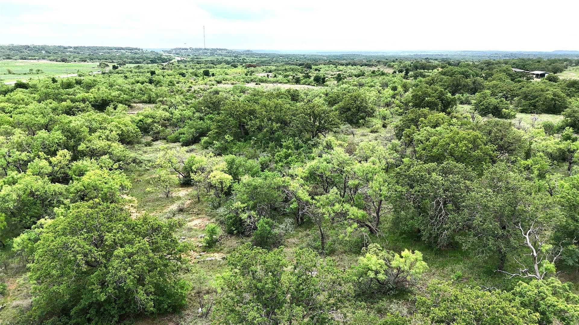 41.67 acres in Brown County gallery image 3