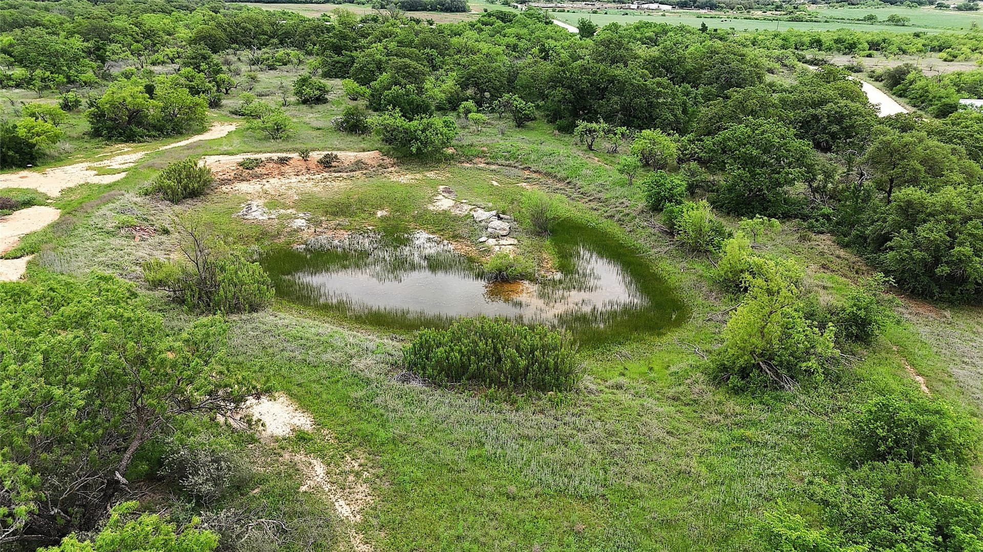 41.67 acres in Brown County gallery image 4