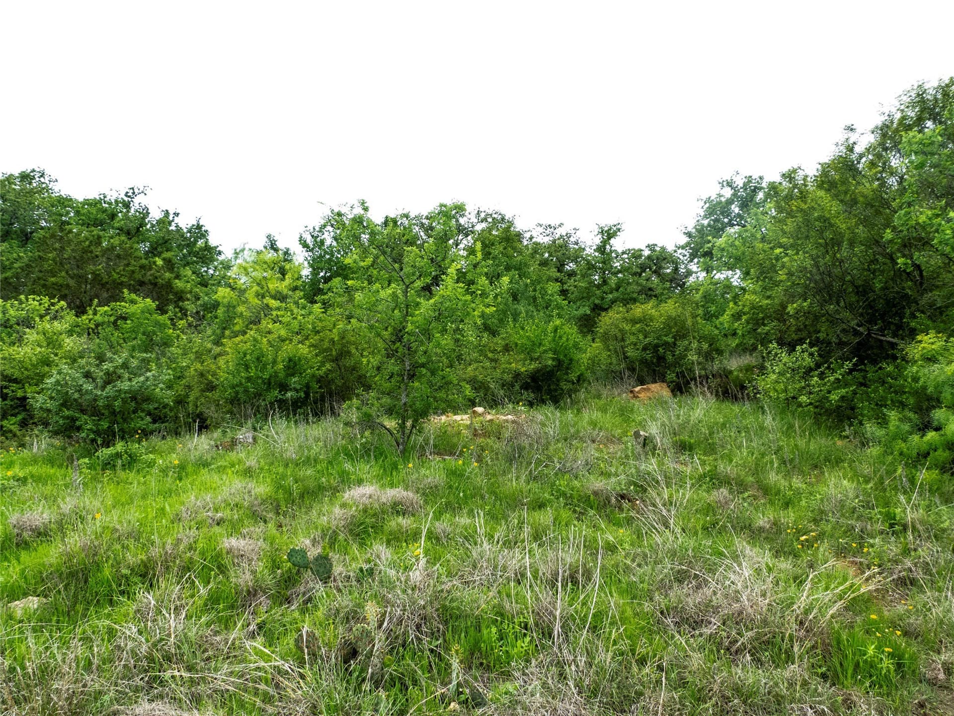 41.67 acres in Brown County - photo 13