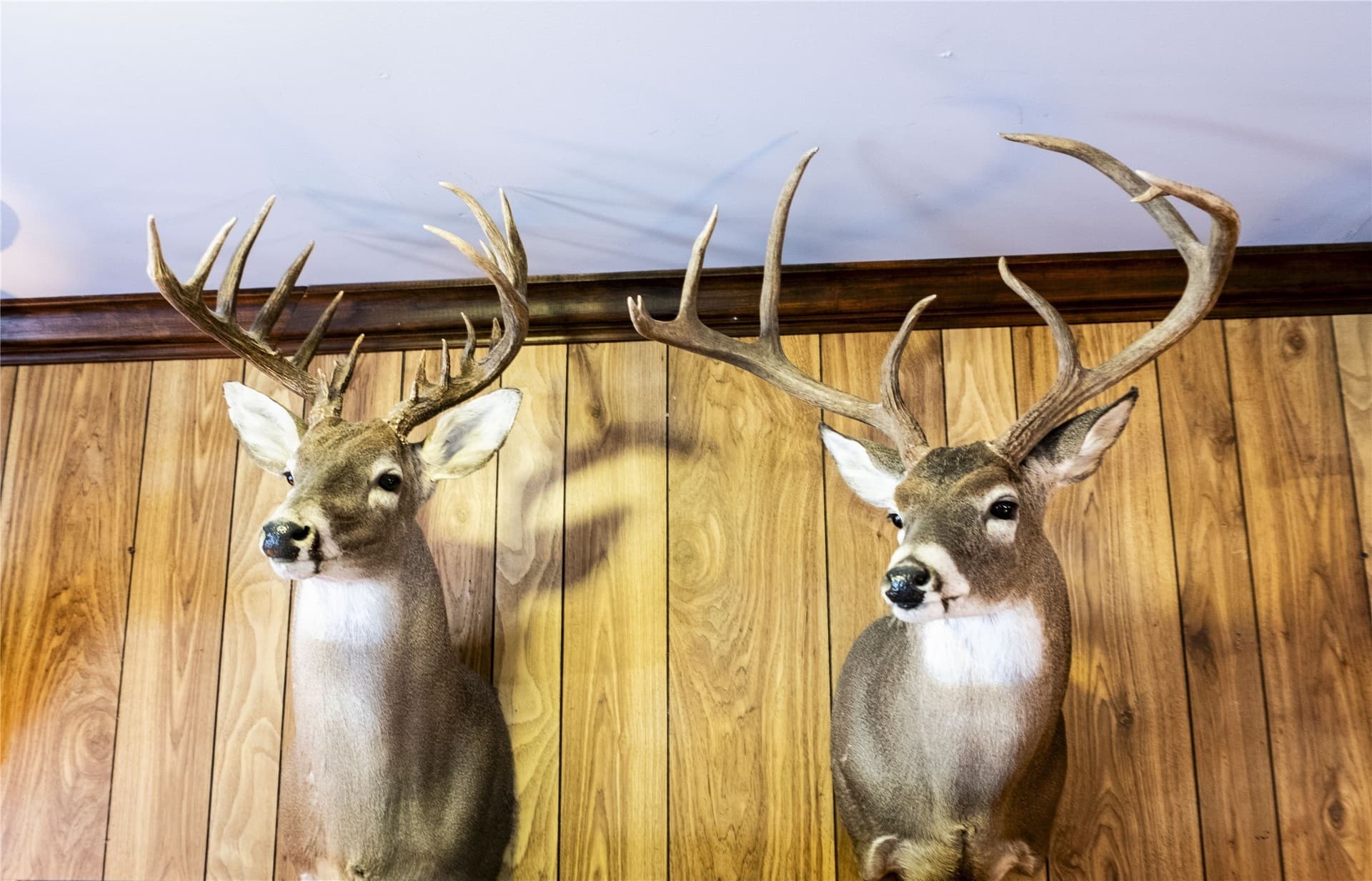 41.67 acres in Brown County - photo 35