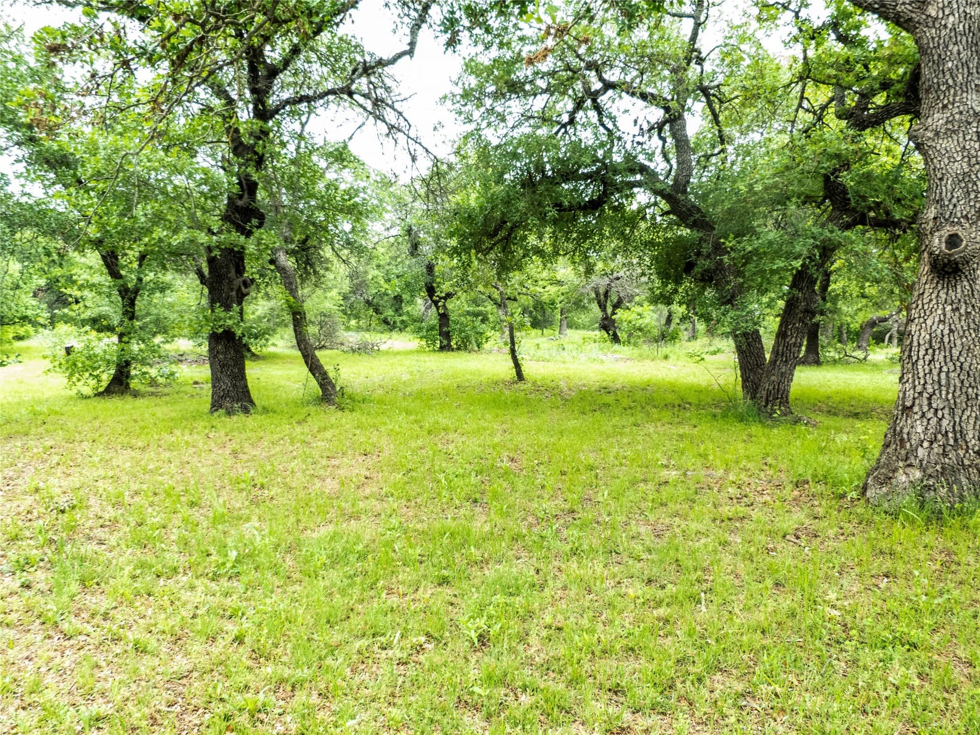 41.67 acres in Brown County - photo 15