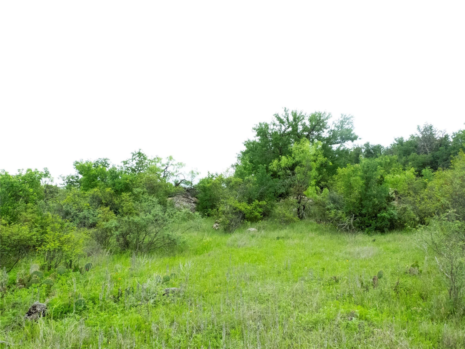 41.67 acres in Brown County - photo 19