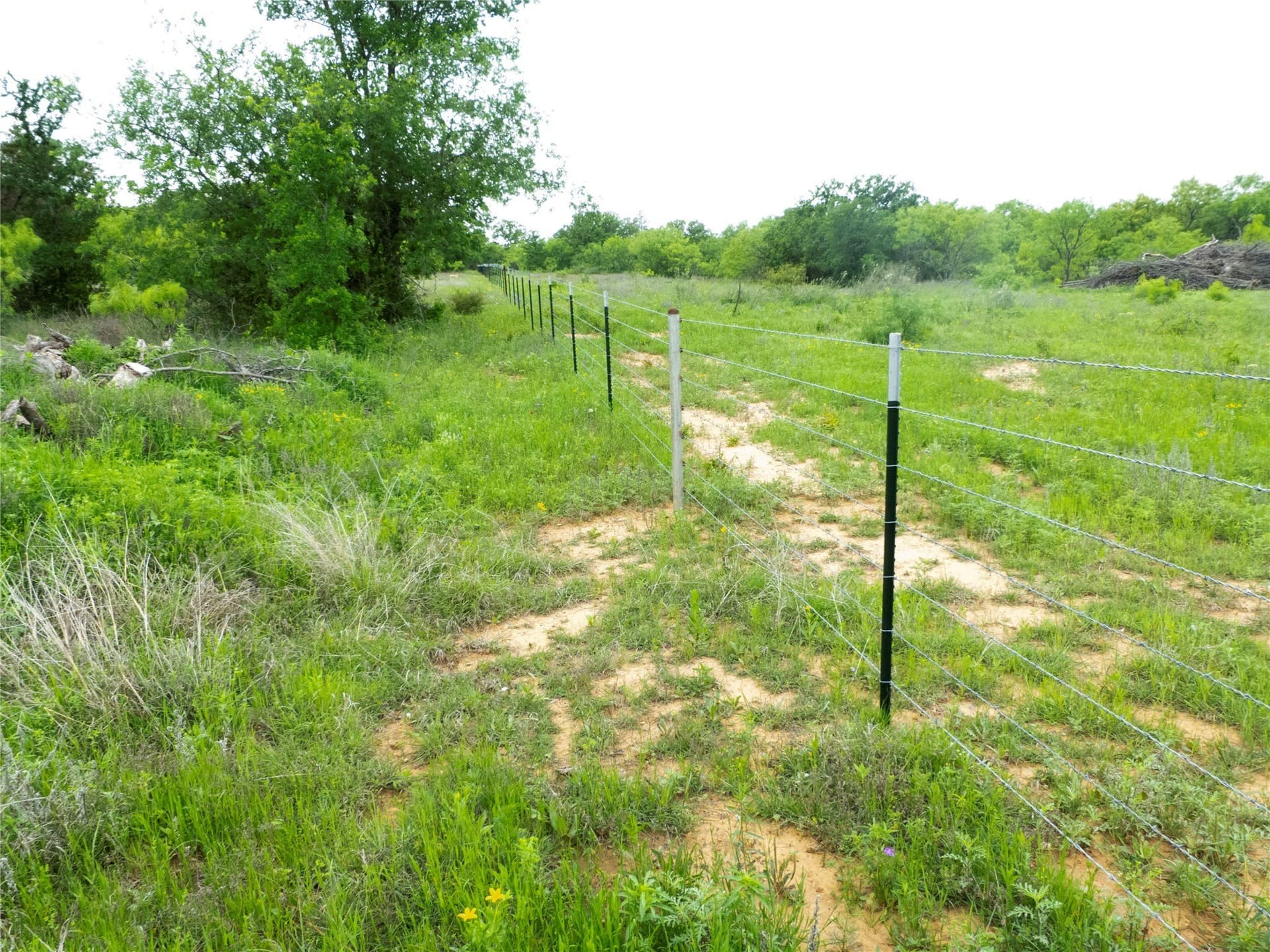 41.67 acres in Brown County - photo 11