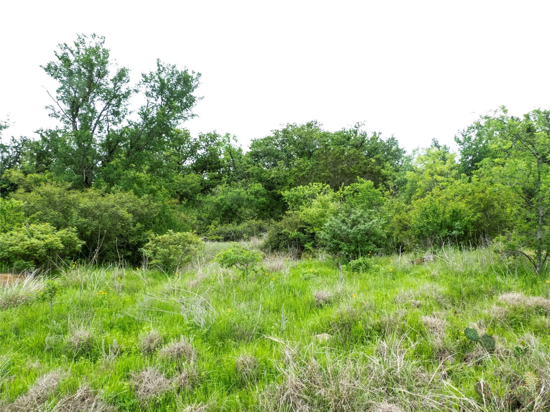 41.67 acres in Brown County - photo 12