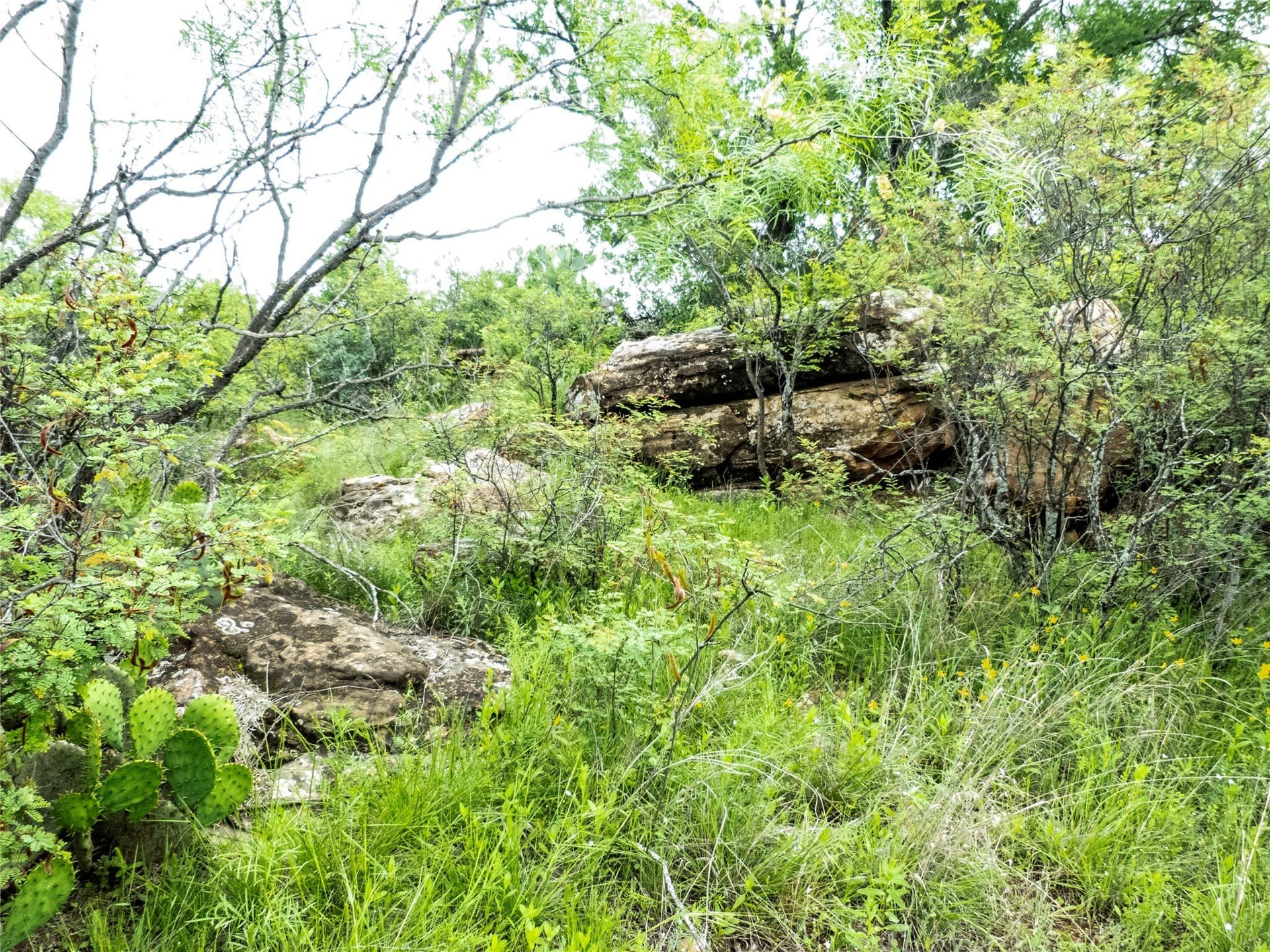 41.67 acres in Brown County - photo 20