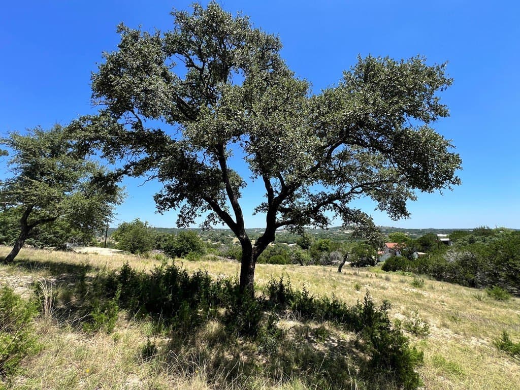 1.53 acres in Kerr County - photo 9