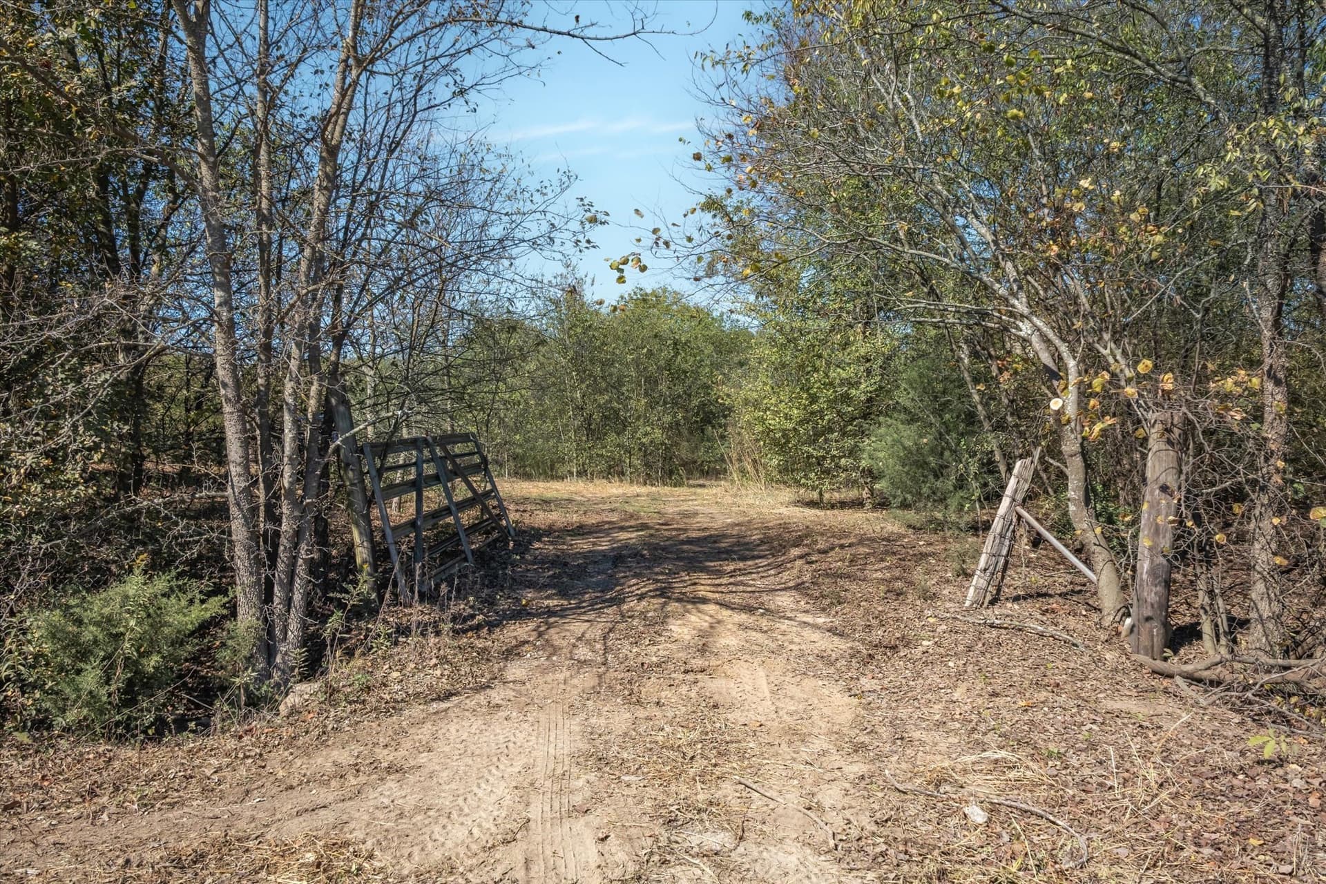 4.98 acres in Van Zandt County gallery image 2
