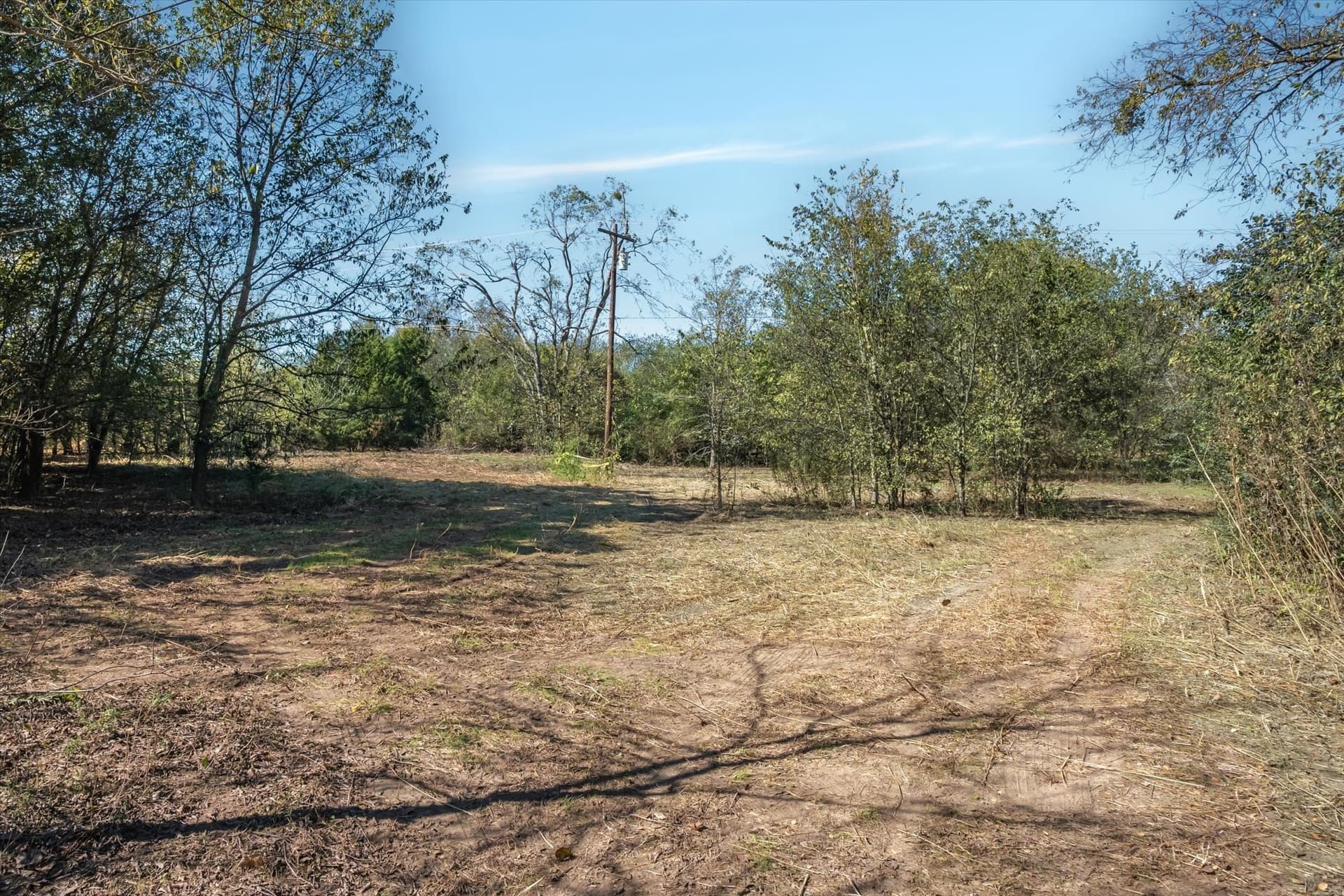 4.98 acres in Van Zandt County gallery image 4