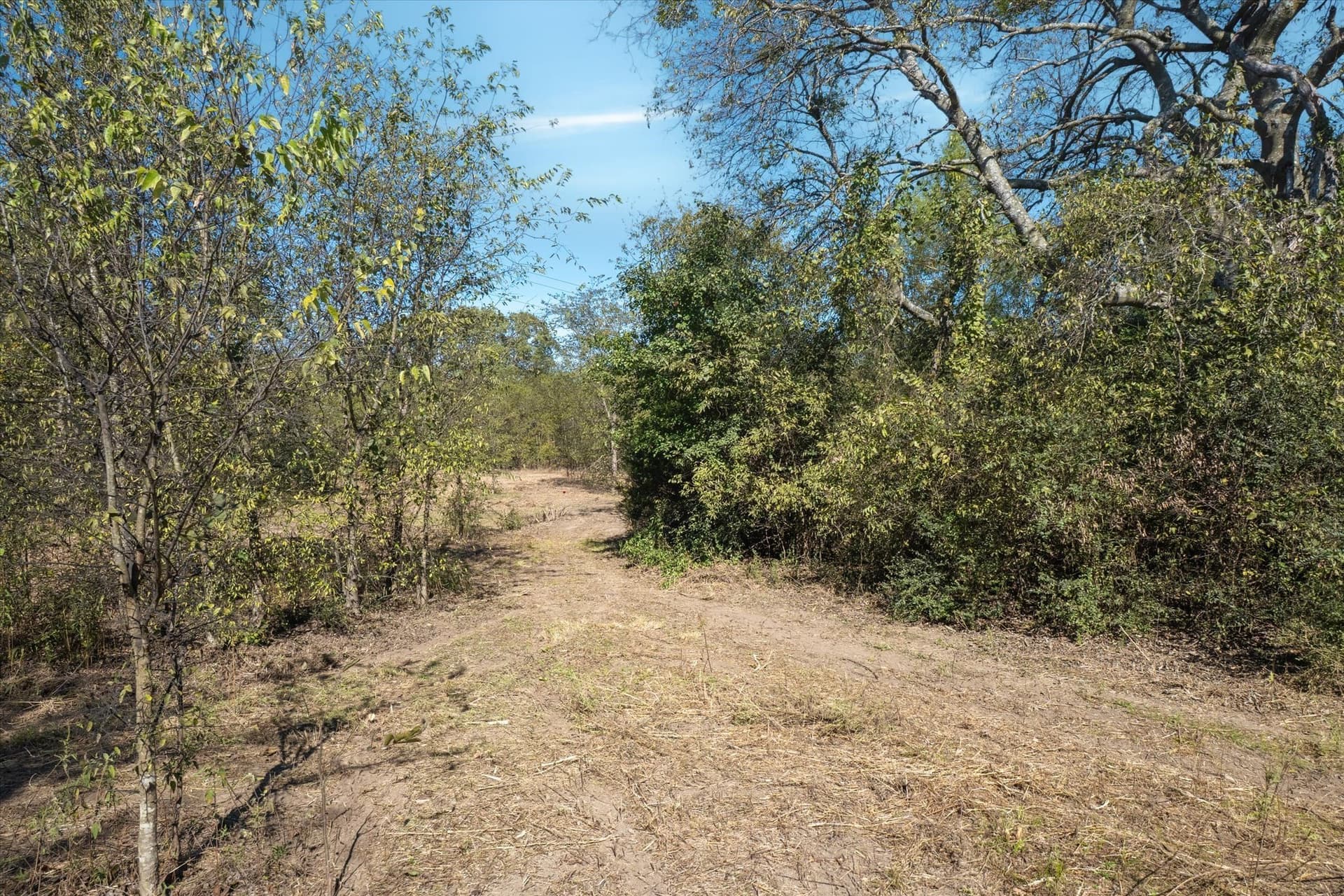4.98 acres in Van Zandt County gallery image 3