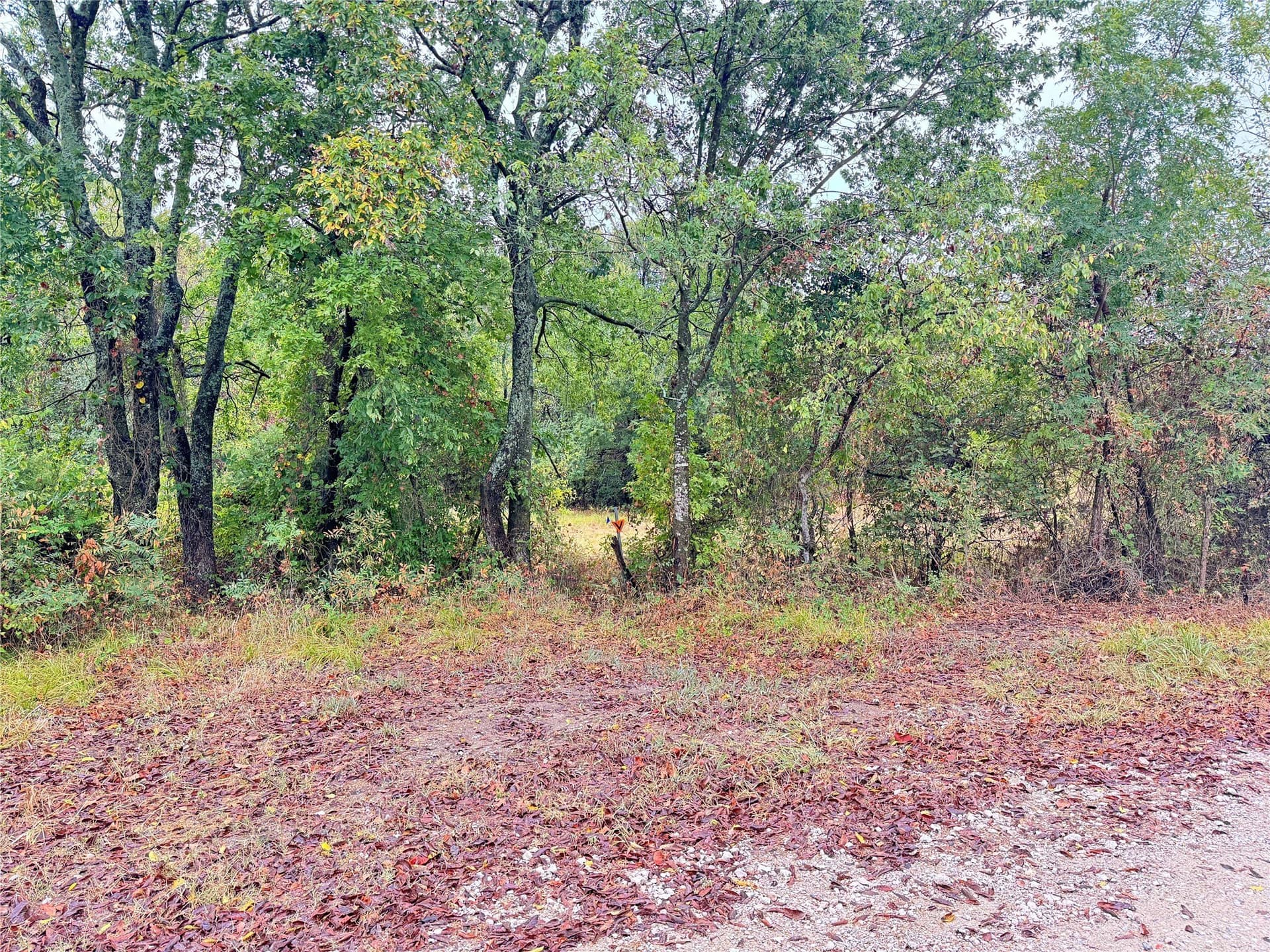 10.35 acres in Hunt County - photo 9
