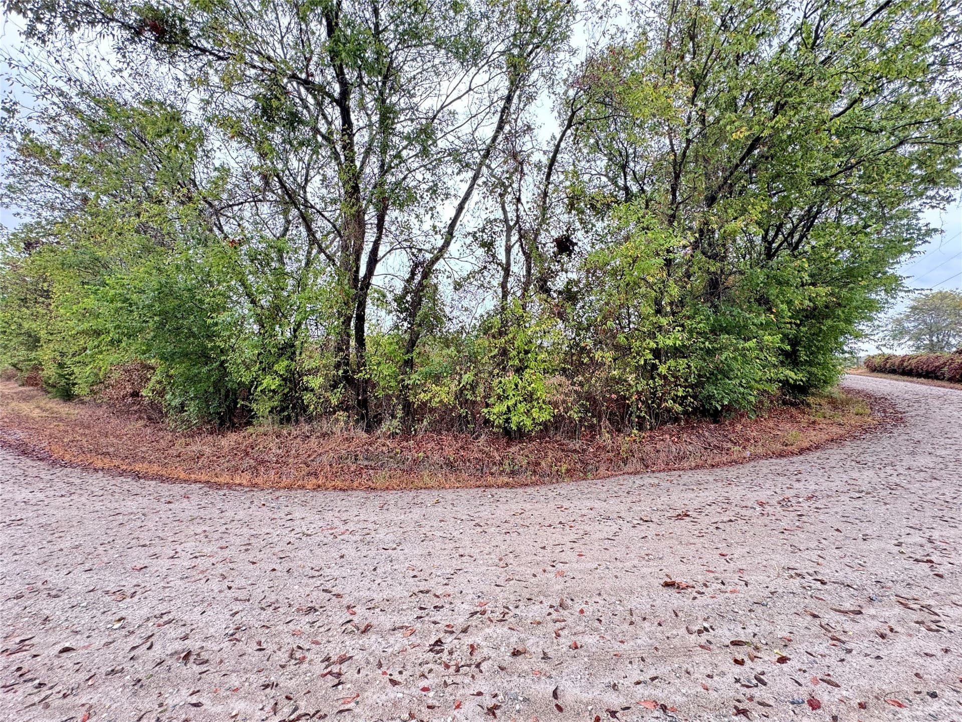 10.35 acres in Hunt County - photo 12