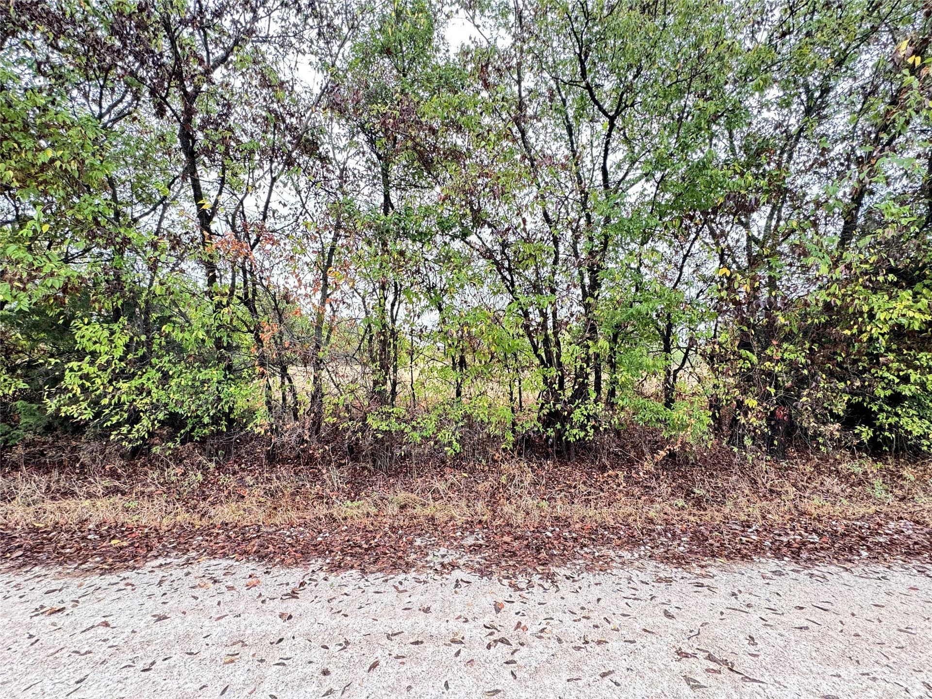 10.35 acres in Hunt County - photo 14