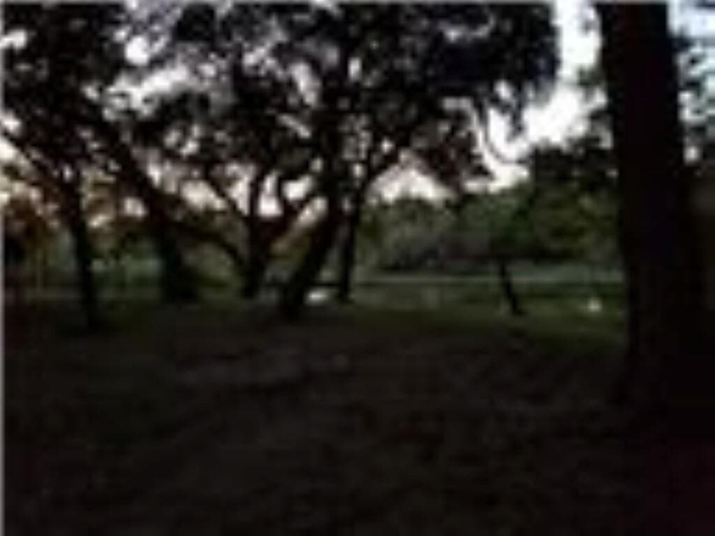 0.39 acres in Palacios Area County - photo 12