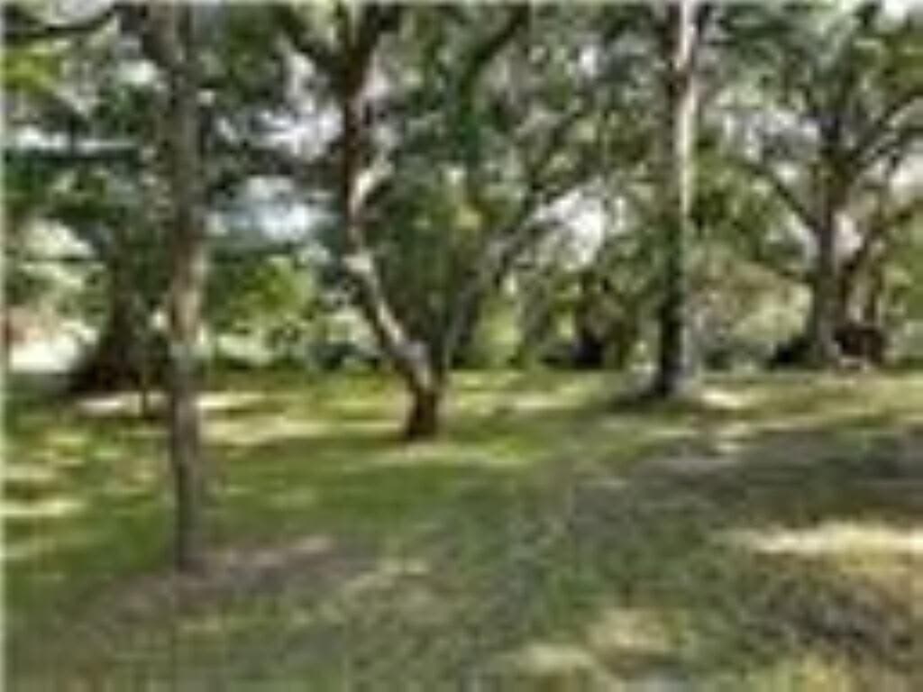 0.39 acres in Palacios Area County - photo 2