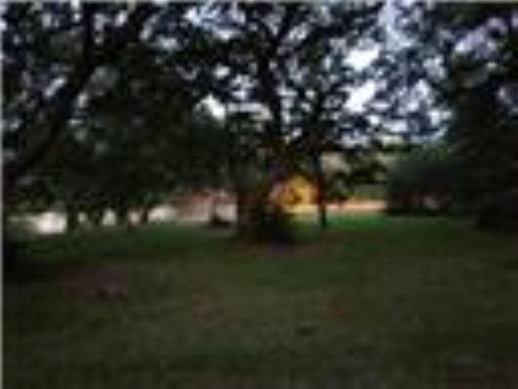 0.39 acres in Palacios Area County - photo 11