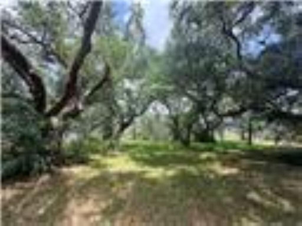 0.39 acres in Palacios Area County - photo 6
