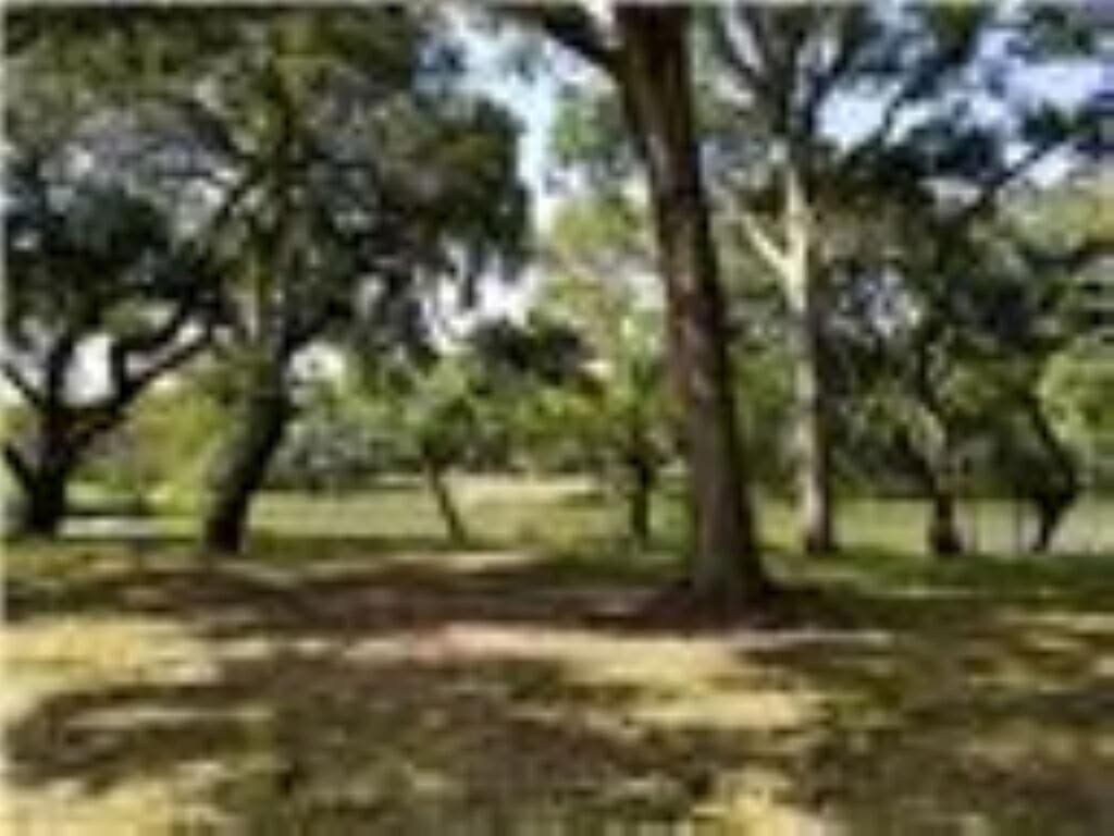 0.39 acres in Palacios Area County - photo 3