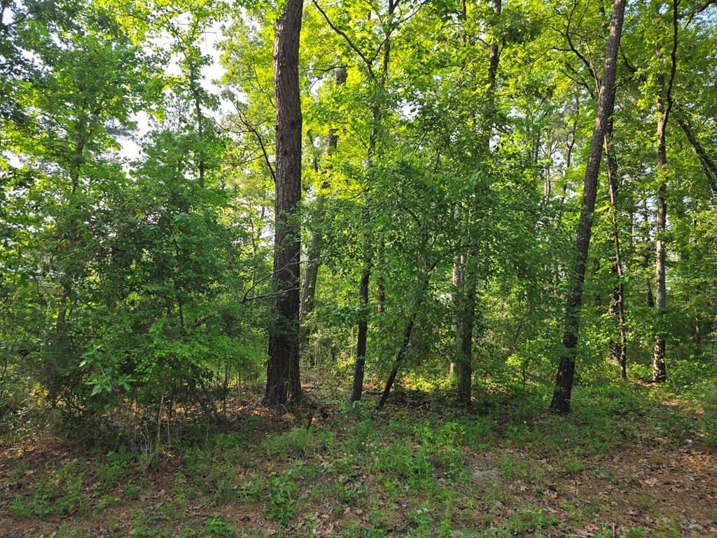 0.18 acres in Texas County gallery image 2
