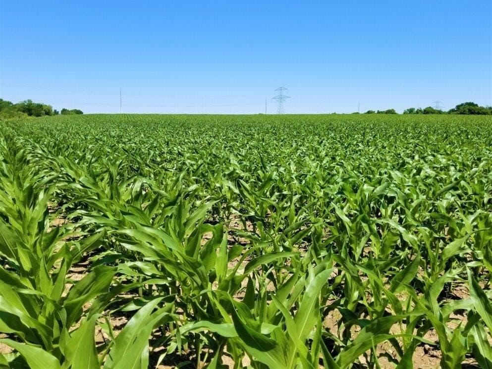 85.91 acres in Falls County