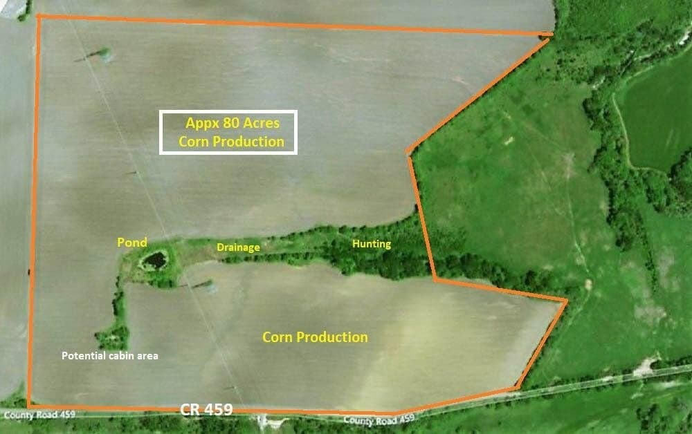 85.91 acres in Falls County gallery image 2