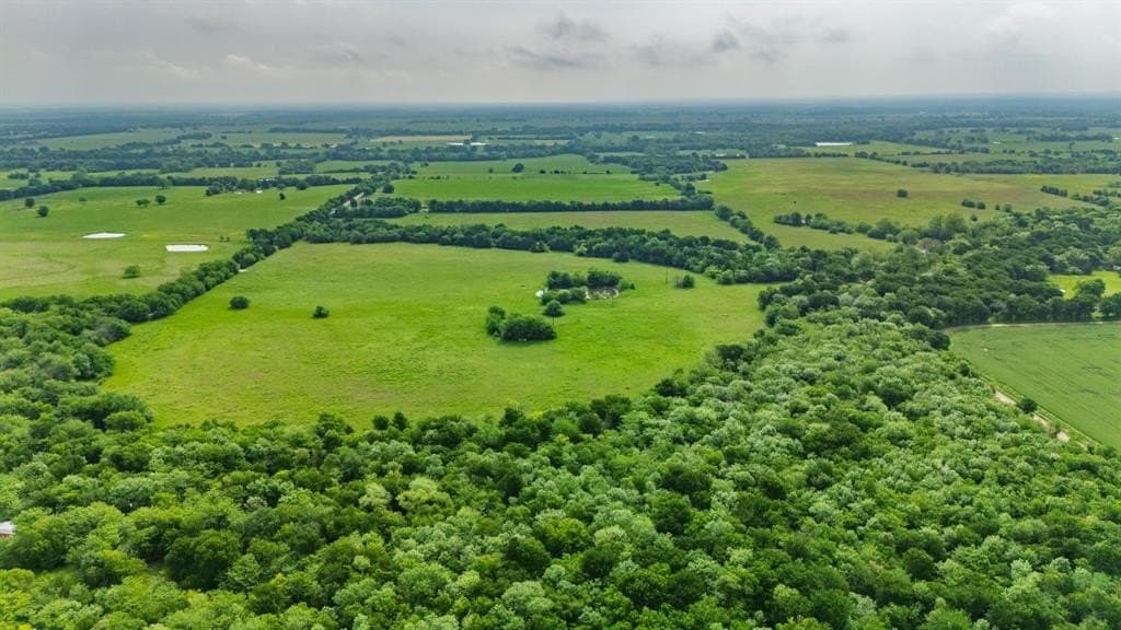 20 acres in Hunt County gallery image 4