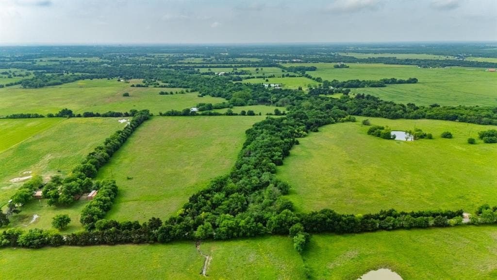 20 acres in Hunt County gallery image 3