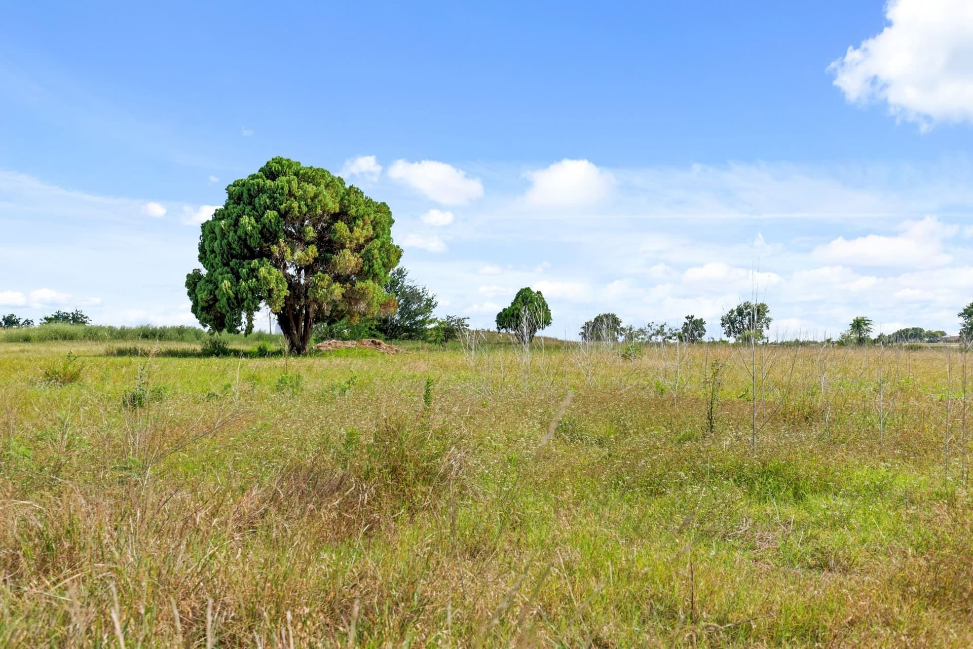 10.01 acres in McLennan County - photo 5