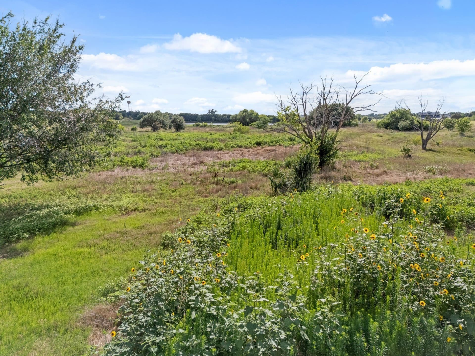 10.01 acres in McLennan County - photo 3