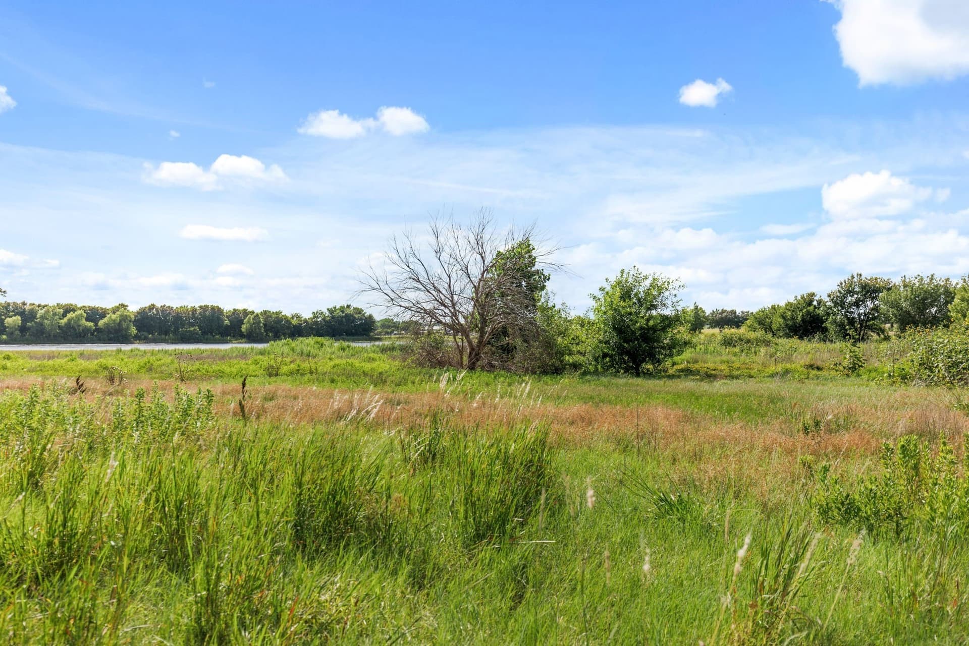 10.01 acres in McLennan County - photo 26