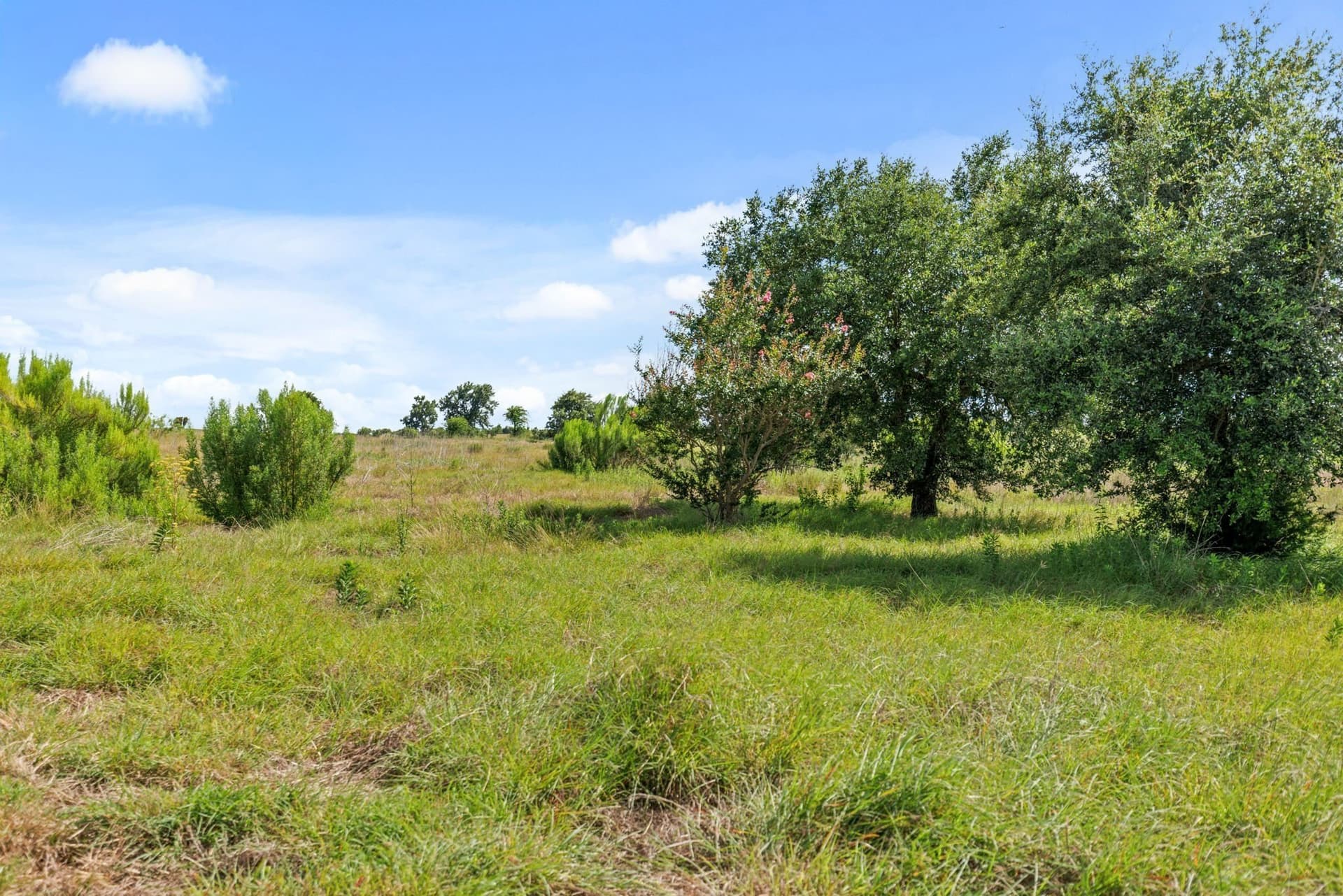10.01 acres in McLennan County - photo 2