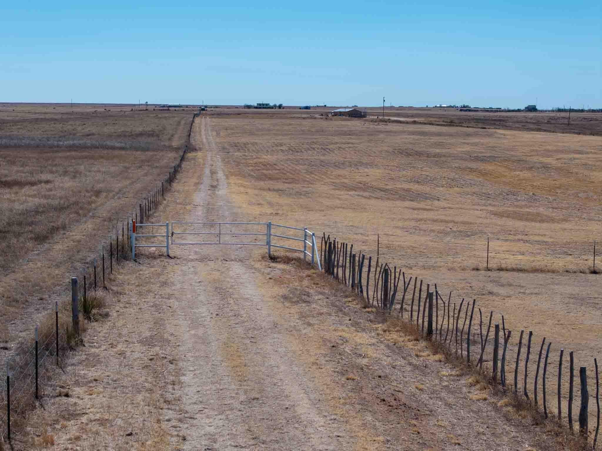 10.02 acres in Randall County gallery image 2