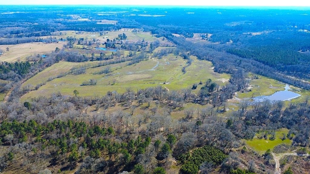 169.03 acres in Texas County featured view