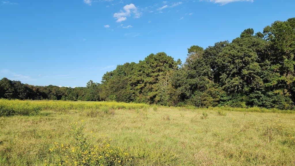 90.6 acres in Texas County featured view