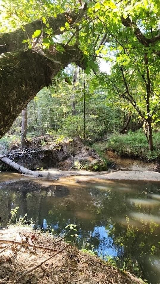 90.6 acres in Texas County gallery image 2