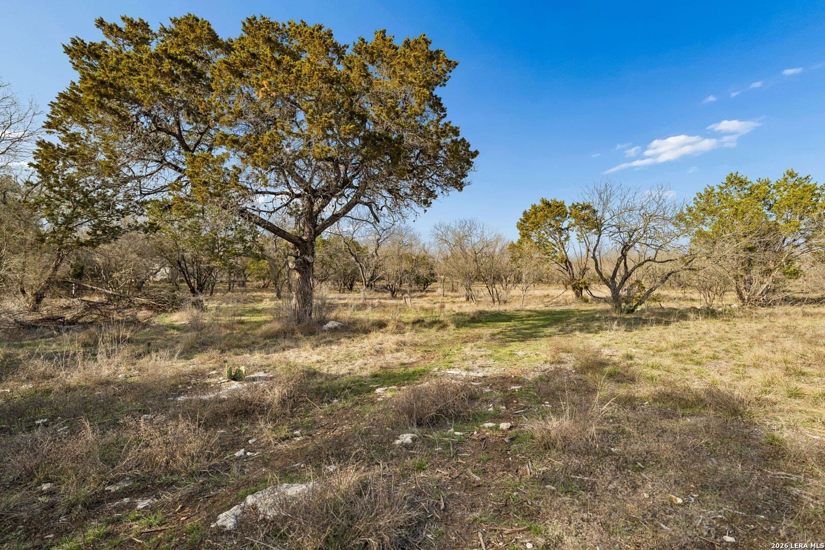 5.23 acres in Comal County - photo 10