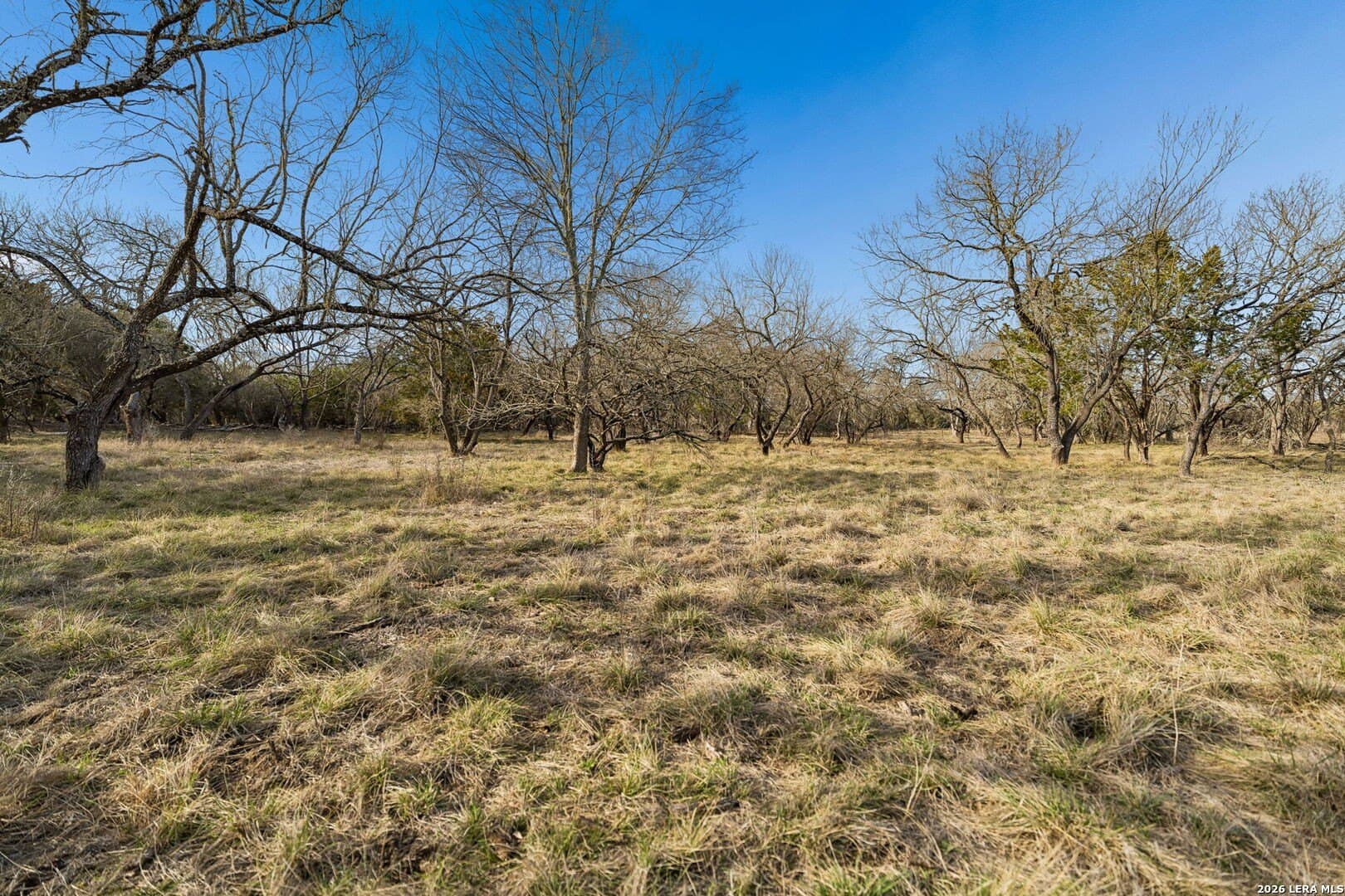 5.23 acres in Comal County - photo 12