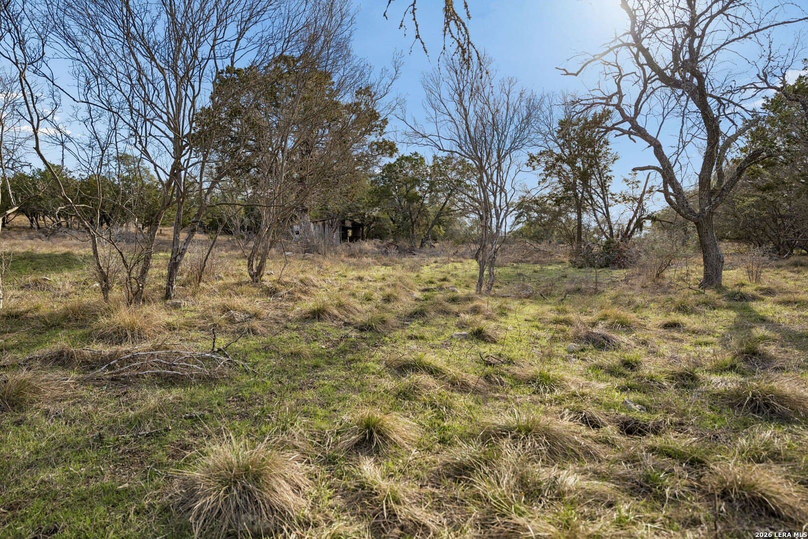 5.23 acres in Comal County - photo 11