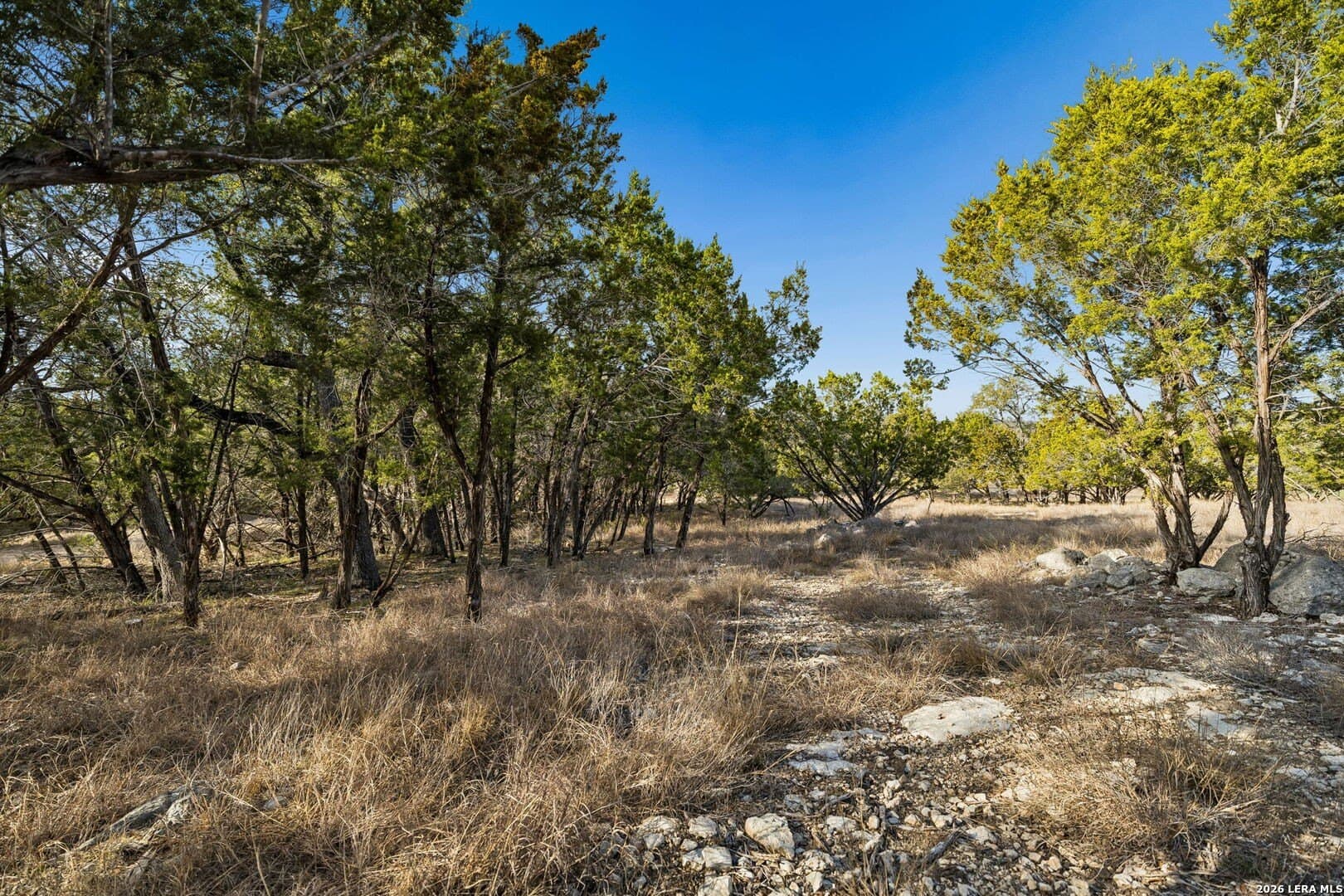 5.23 acres in Comal County - photo 8