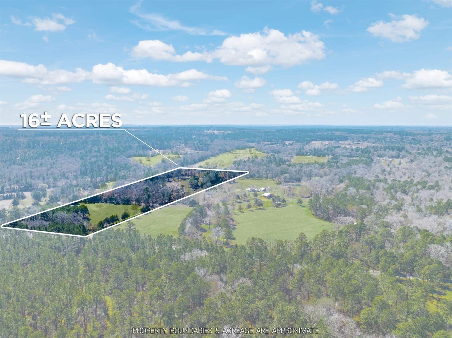 16.12 acres in Anderson County gallery image 3