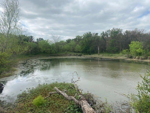 100.23 acres in Falls County - photo 14